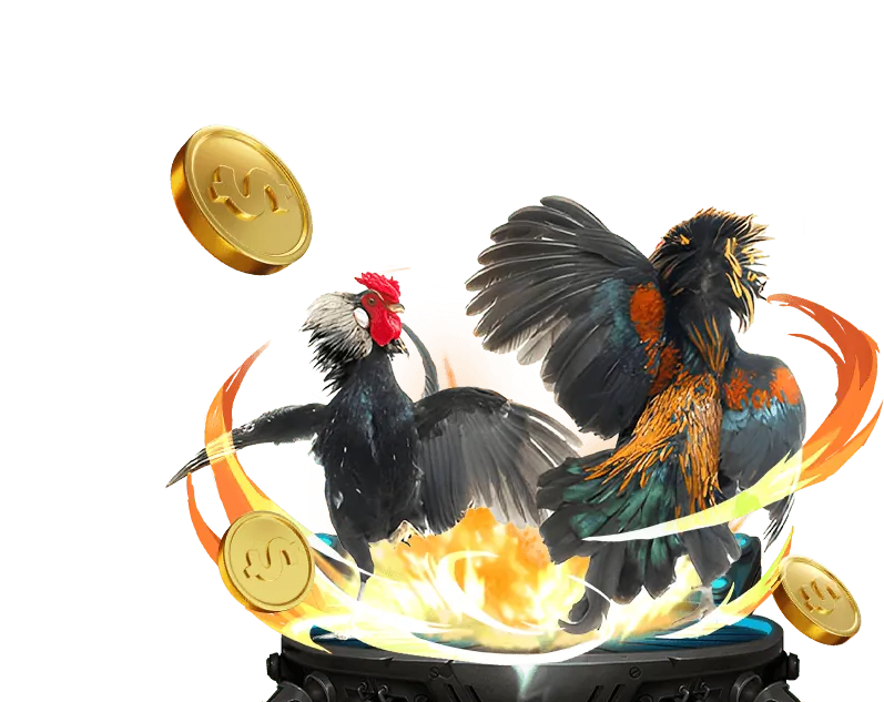 Cá cược bóng đá viva88 bet