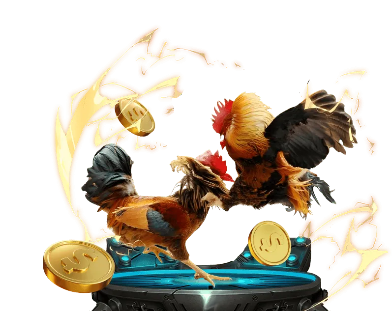 Cá cược bóng rổ viva88 bet